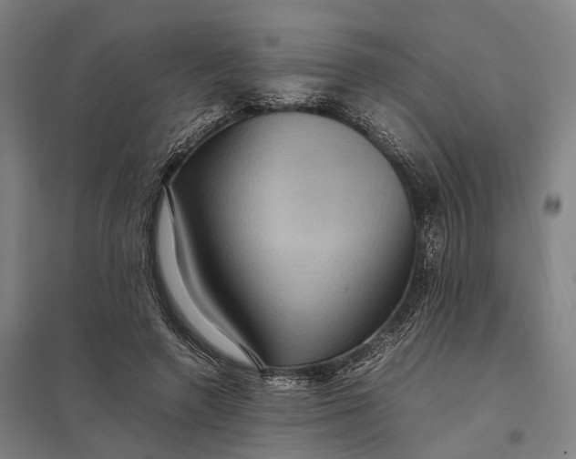 X0000097920546200803281428