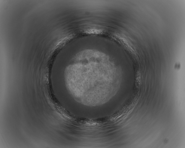 X0000097920547200803281428