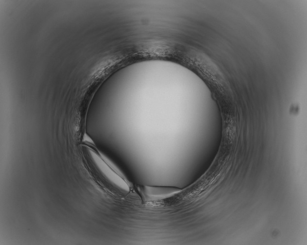 X0000097920548200803281428