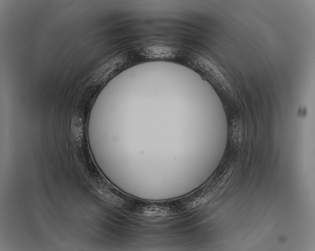 X0000097920549200803281428