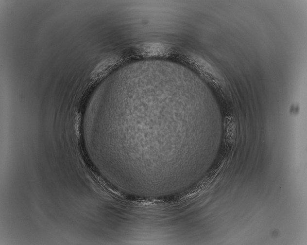 X0000097920550200803281428