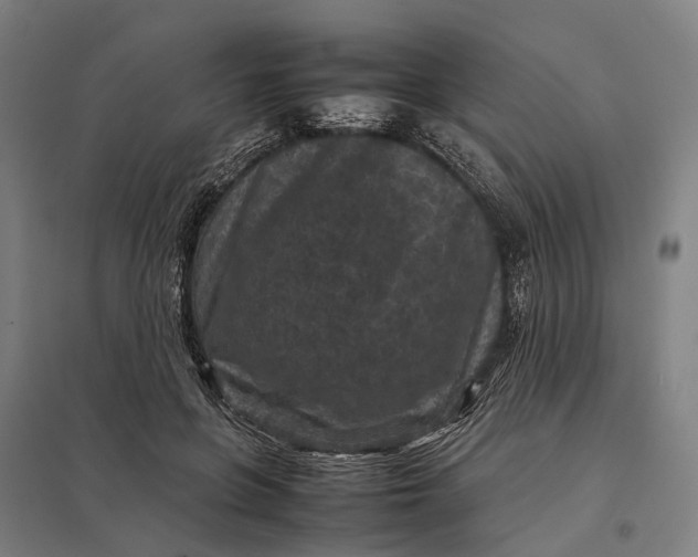 X0000097920551200803281428