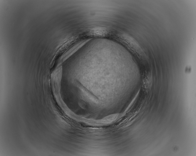 X0000097920552200803281428