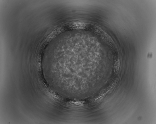 X0000097920553200803281428