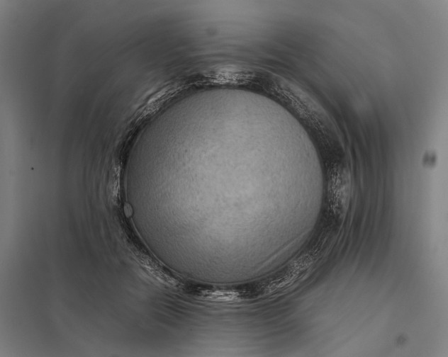 X0000097920554200803281428