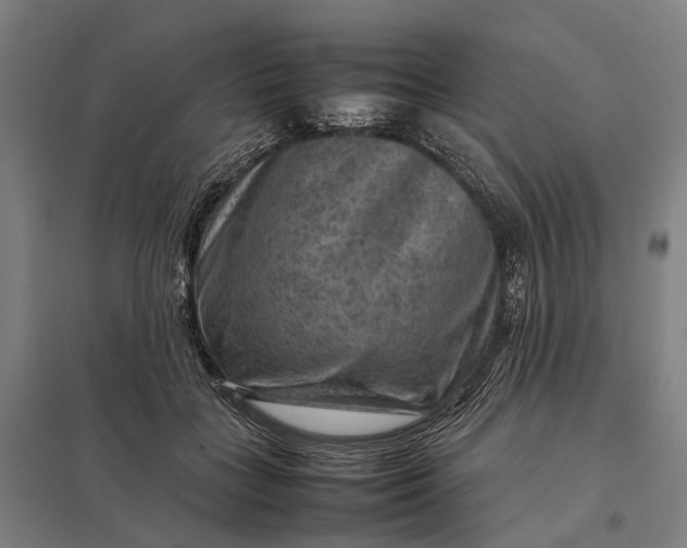 X0000097920555200803281428