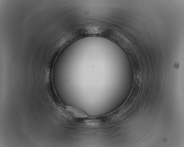 X0000097920556200803281428