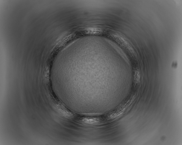 X0000097920557200803281428