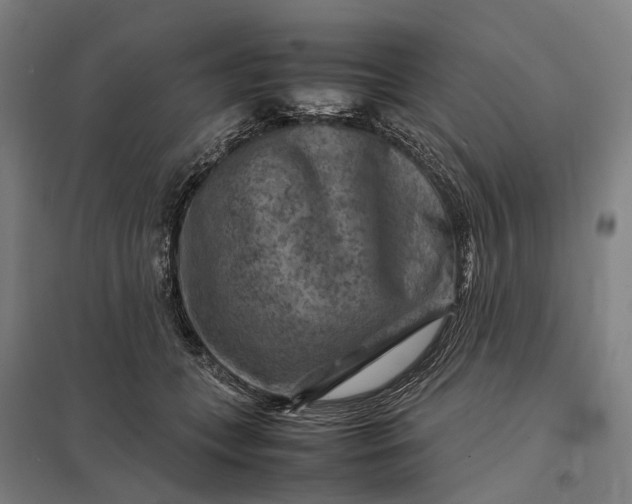 X0000097920559200803281429