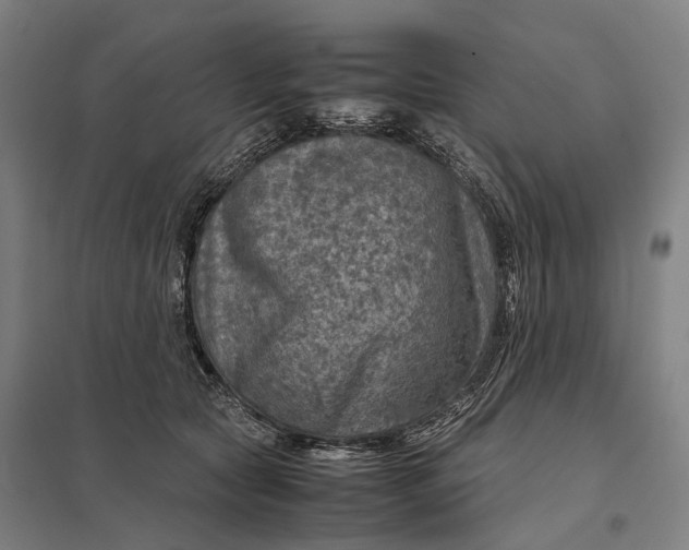 X0000097920561200803281429