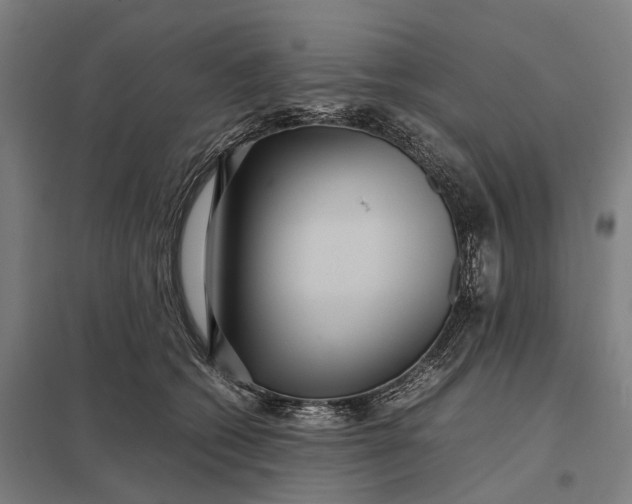 X0000097920562200803281429