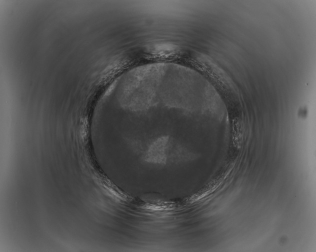 X0000097920563200803281429