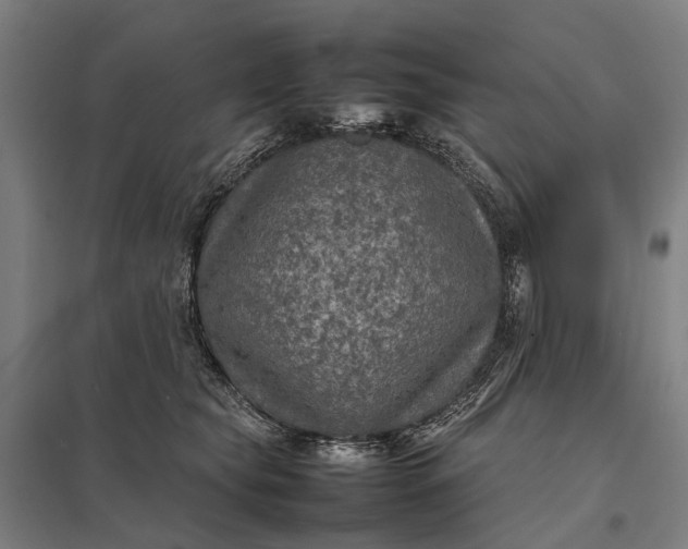 X0000097920565200803281429