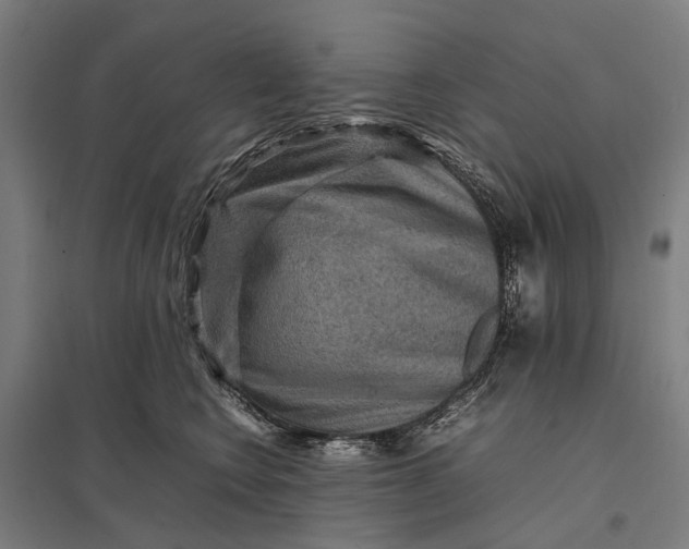 X0000097920566200803281429