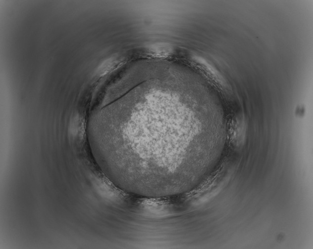 X0000097920568200803281429