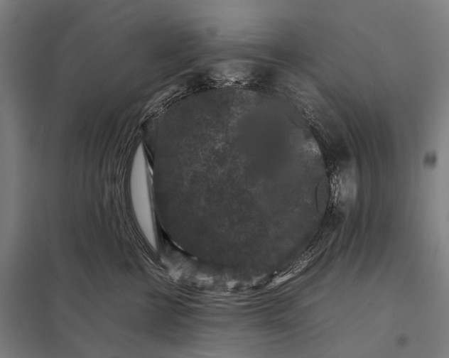 X0000097920570200803281429