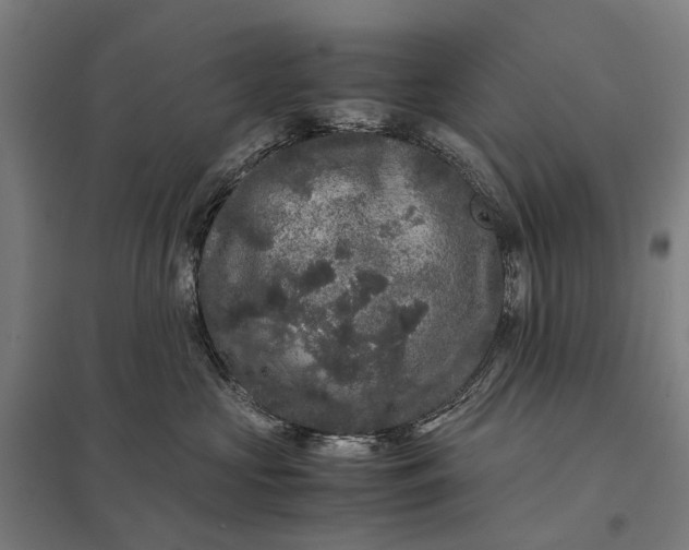 X0000097920573200803281429