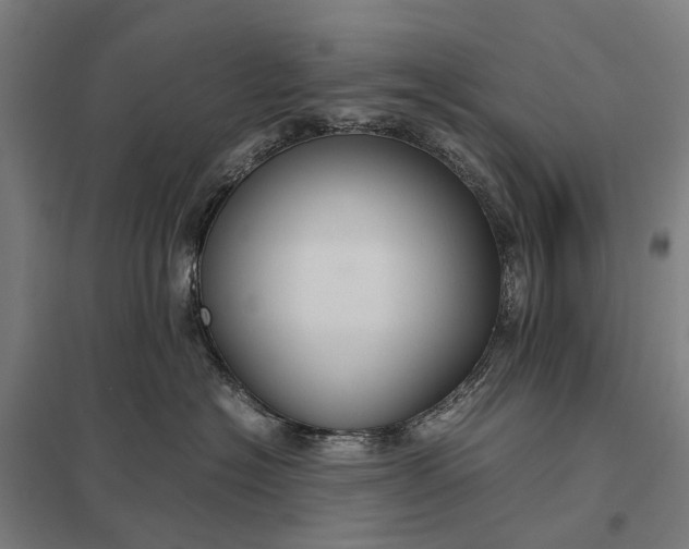 X0000097920574200803281429