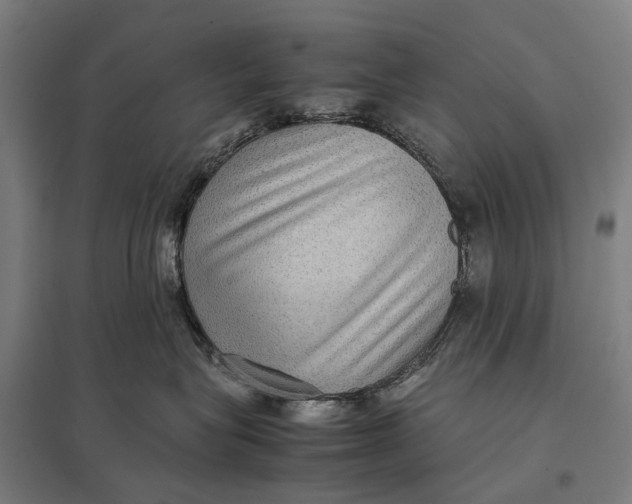 X0000097920575200803281429