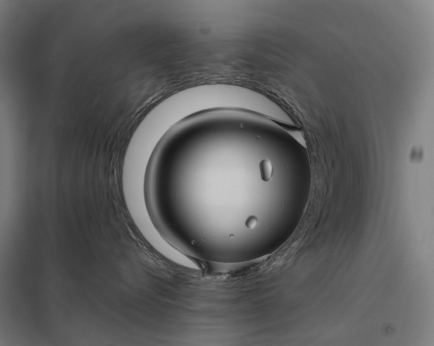 X0000097920576200803281429