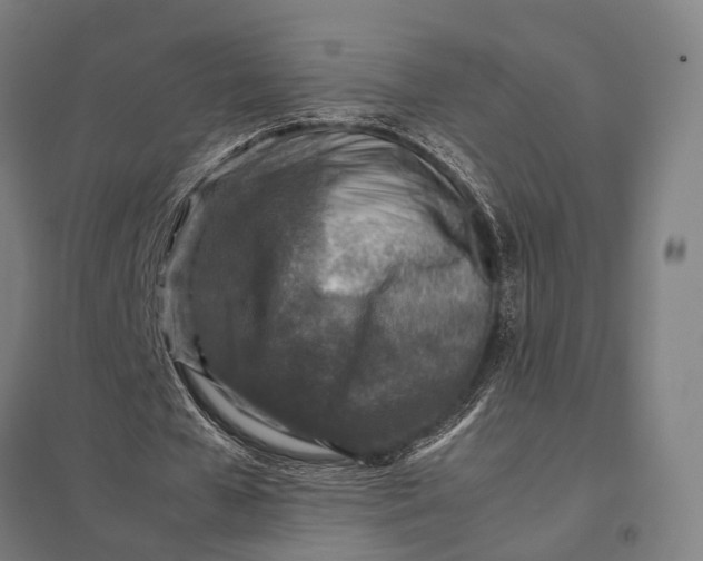 X0000097920577200803281428