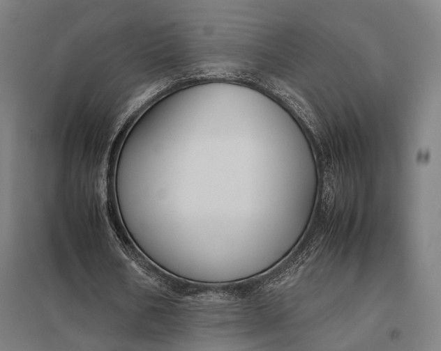 X0000097920578200803281428