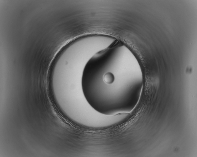 X0000097920580200803281428