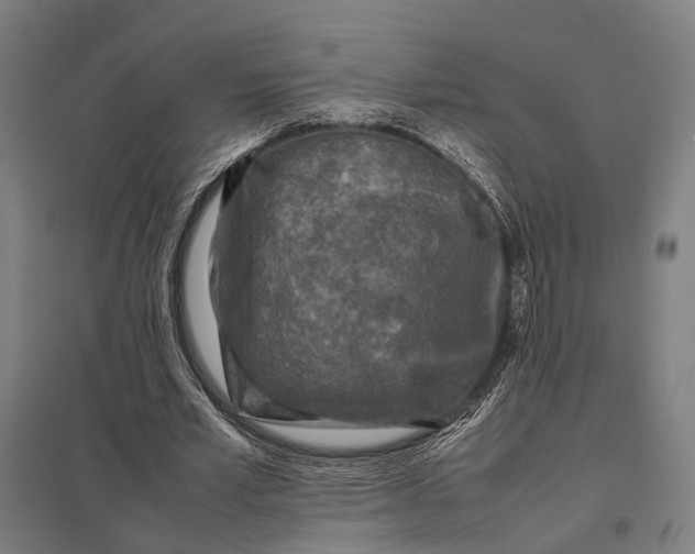 X0000097920581200803281428