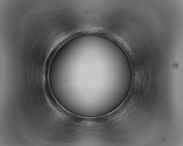 X0000097920582200803281428