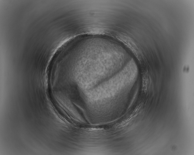 X0000097920584200803281428