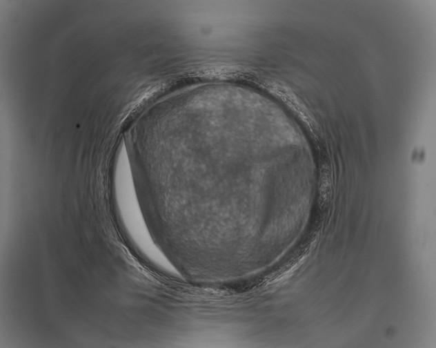 X0000097920585200803281428