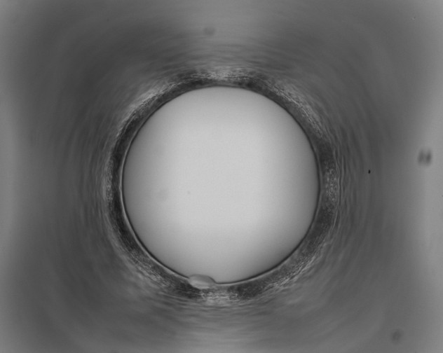 X0000097920587200803281428