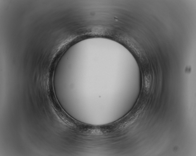 X0000097920588200803281428