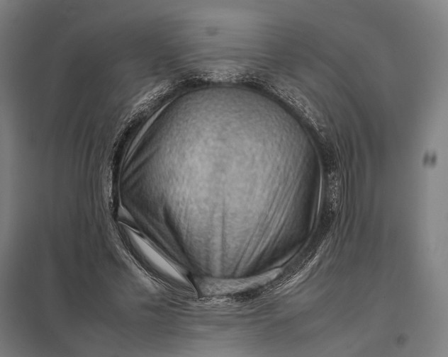 X0000097920589200803281428