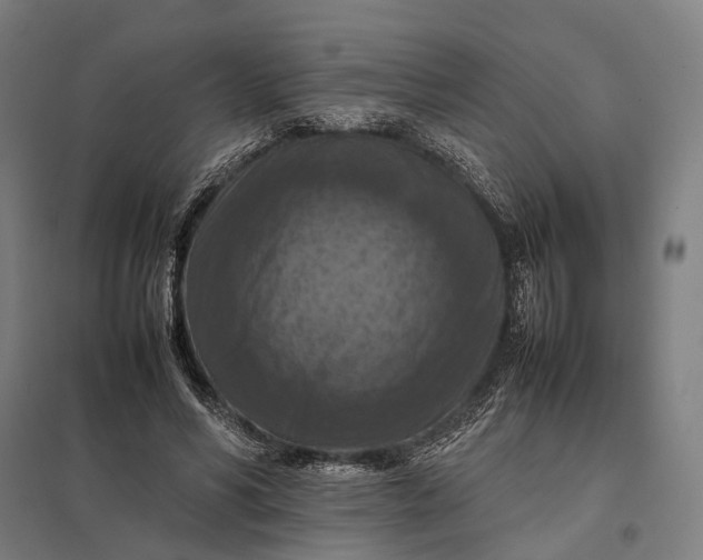 X0000097920590200803281428