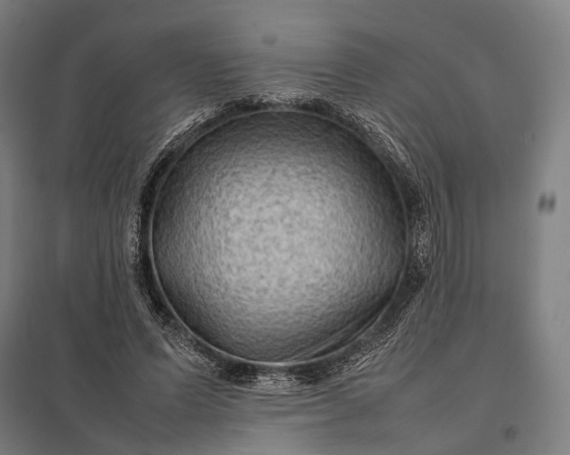 X0000097920591200803281428