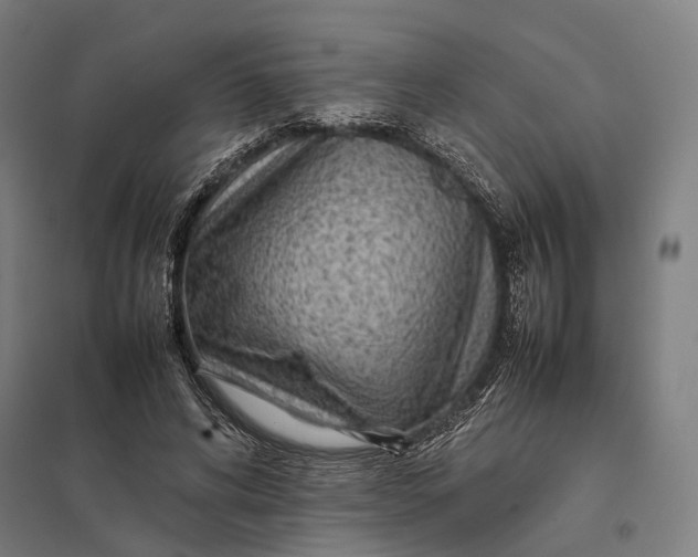 X0000097920592200803281428