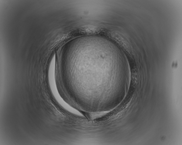 X0000097920593200803281428