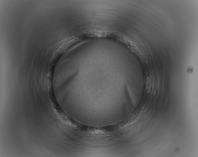 X0000097920594200803281428