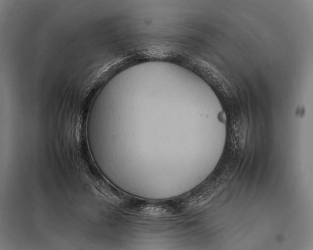 X0000097920596200803281428