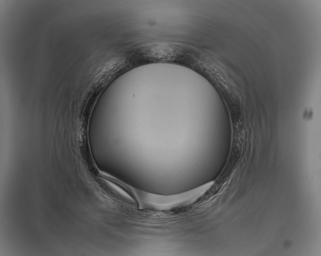 X0000097920597200803281428