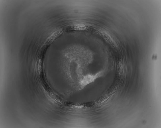 X0000097920598200803281428