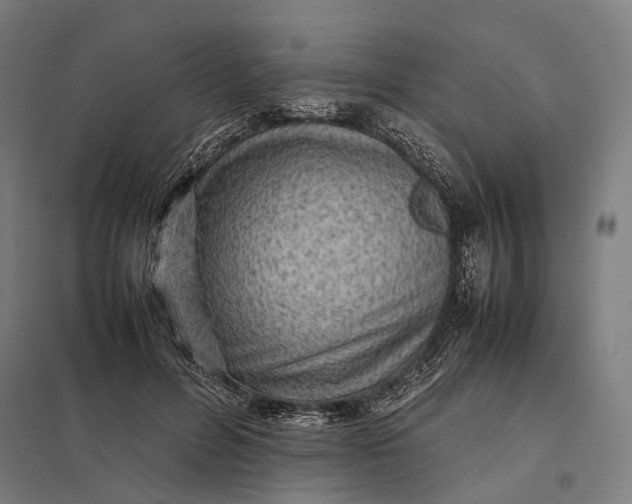 X0000097920600200803281428