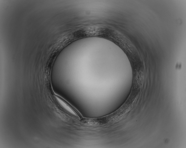 X0000097920601200803281428