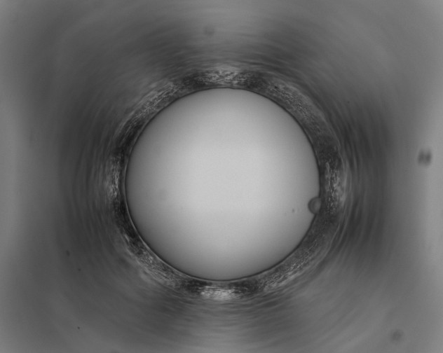 X0000097920602200803281428