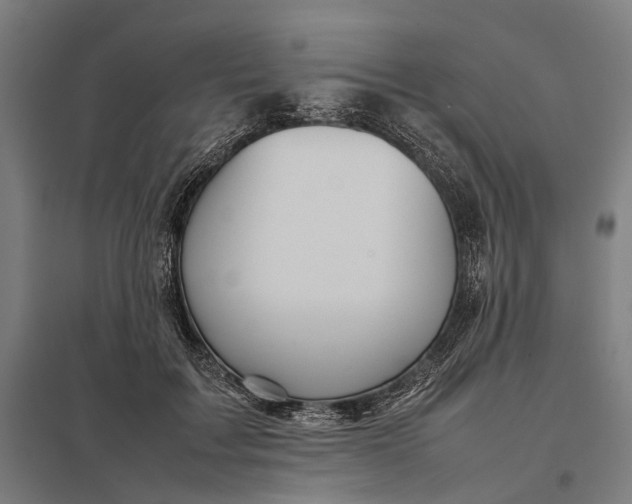 X0000097920603200803281428