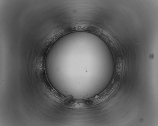 X0000097920604200803281428