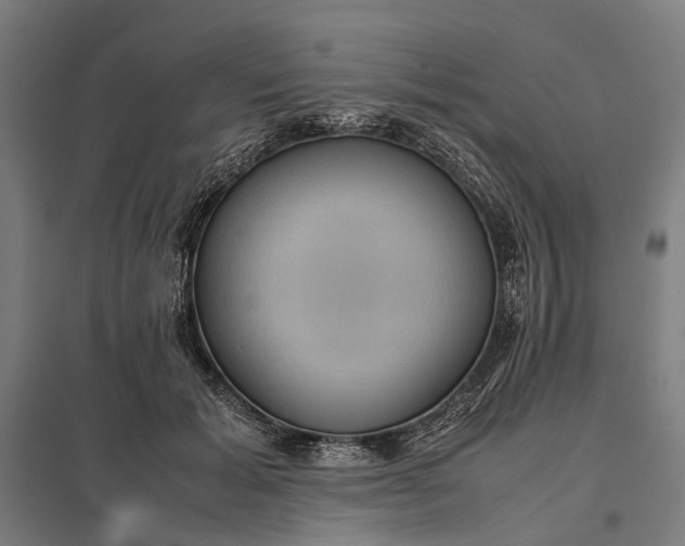 X0000097920605200803281428