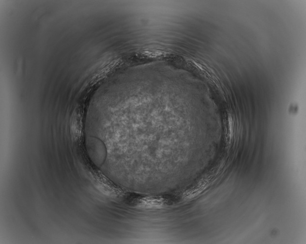 X0000097920606200803281428