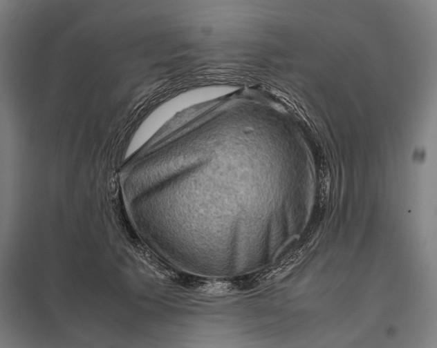 X0000097920609200803281427